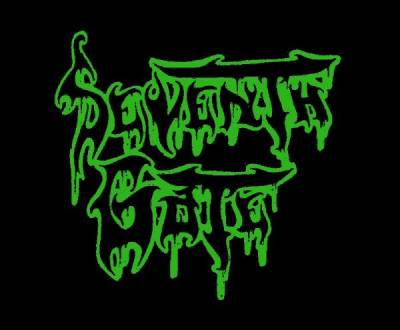logo Seventh Gate (USA)